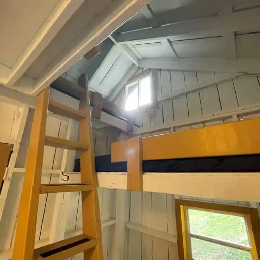 Legacy gallery image: Family Cabin Looking Up.c3ukul1j