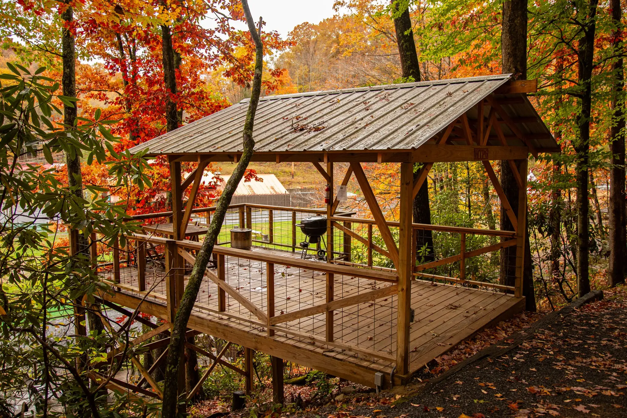 Tent platforms among autumn foliage – Tent Platforms at The Outpost NRG