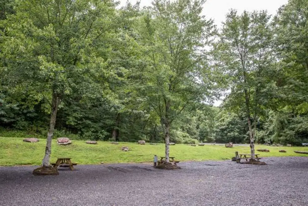 Shaded gravel partial hookup sites with picnic tables – Partial Hookup RV Site at The Outpost NRG