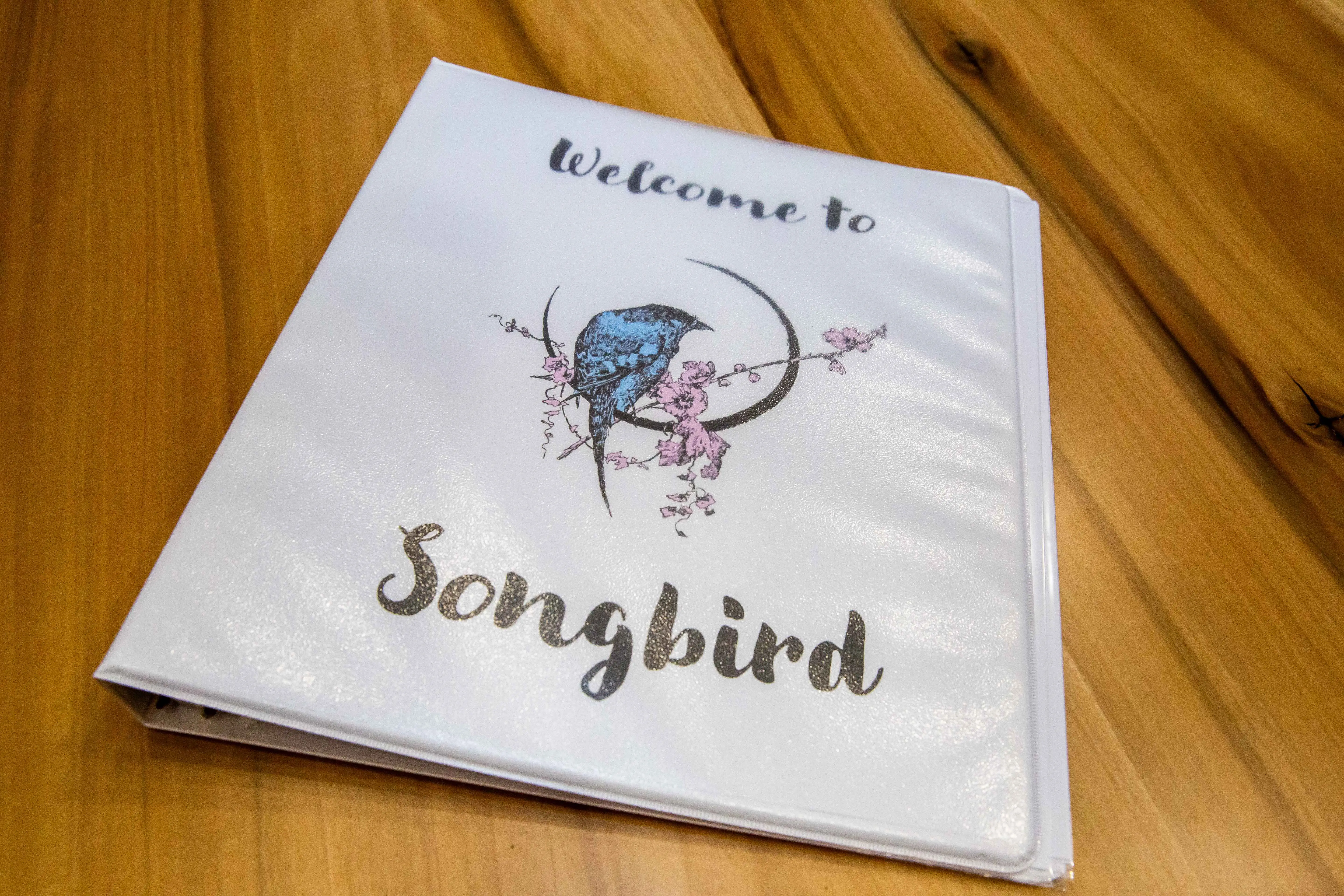Songbird Welcome Guide – A Fleetwood Mac Themed Creekside Cabin