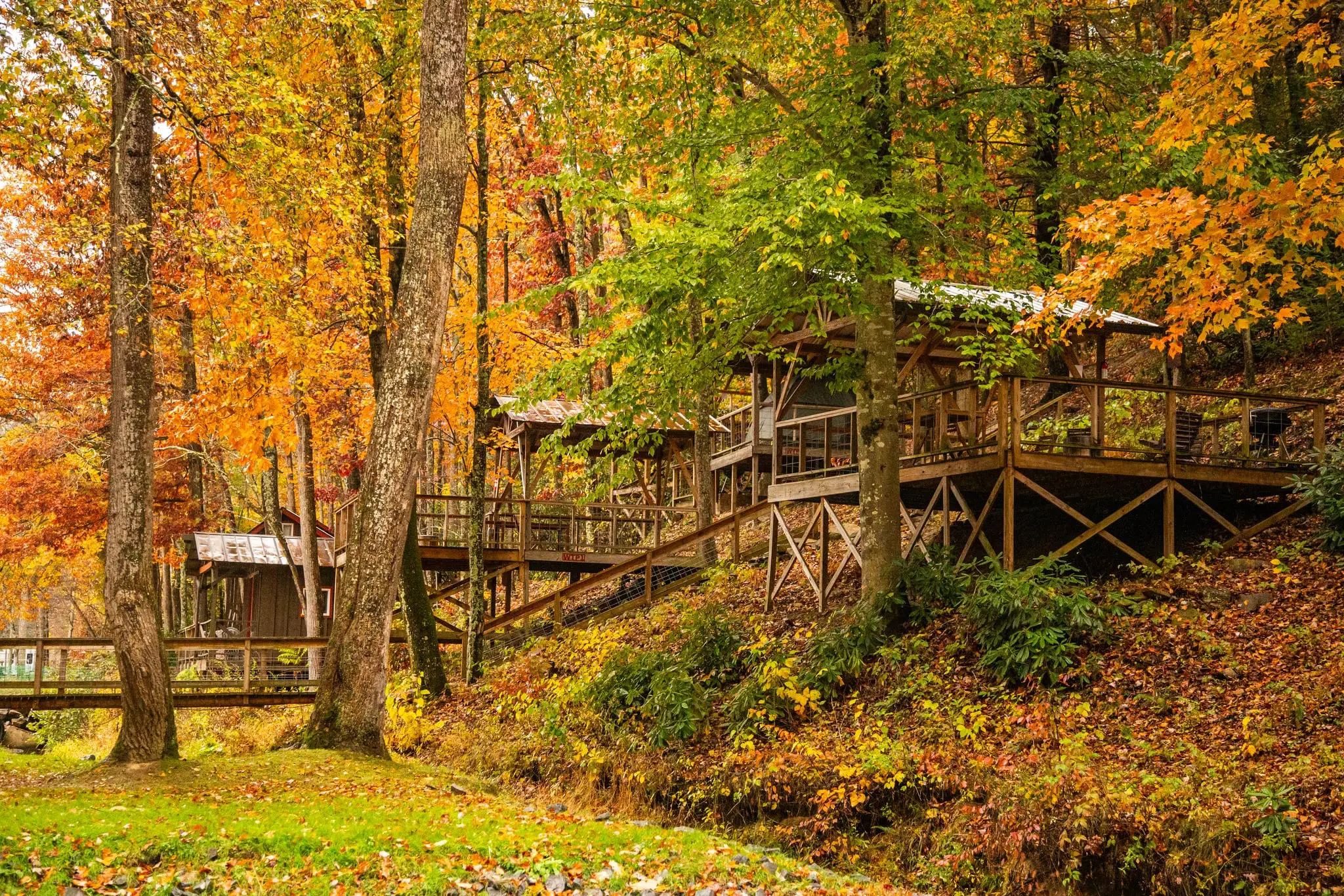 Multiple tent platforms on a forest hillside – Tent Platforms at The Outpost NRG