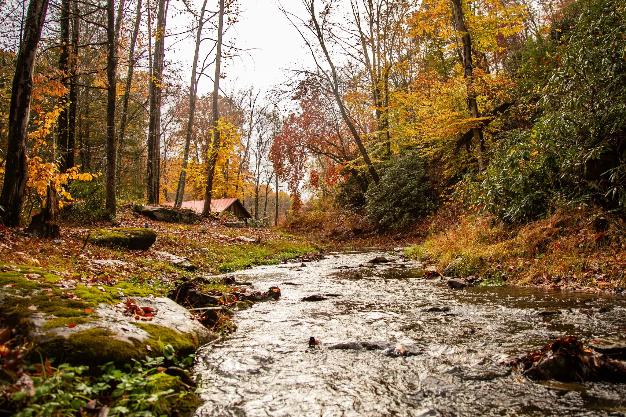 Stream beside the tent pavilion in autumn – Tent Pavilion at The Outpost NRG