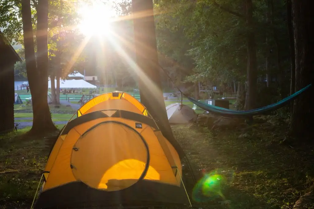 Sunrise through the trees over the tent field – Tent Sites at The Outpost NRG