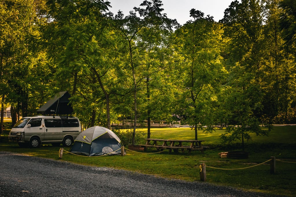 Creek-side Lower Outpost campsite with fire pit – Tent Sites at The Outpost NRG